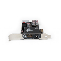 Pink Faun Pink Faun I2S Bridge variant 3