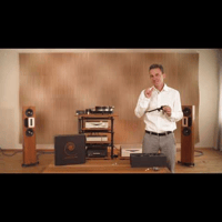 TW-Acustic Raven 9.5 Tonearm variant 2