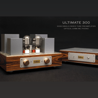 ThivanLabs ULTIMATE 300 – 300B Single-Ended Tube Preamplifier Optical & MM-MC Phono variant 12