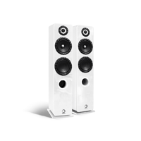 Elipson PRESTIGE FACET 14F variant 11