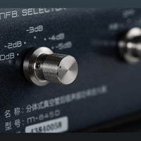 Cayin M-845D variant 5