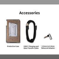 Cayin N6ii-Ti variant 11