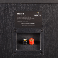 Davis Acoustics Ariane A variant 17