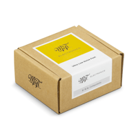 MoFi Electronics Ultra Low Noise Feet Isolation Feet variant 4