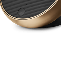 B&O-Bang & Olufsen  Beoremote Halo variant 5