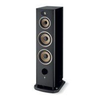 Focal Aria Evo X N°4 variant 1