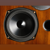 Acoustic Energy AE2 40th Anniversary Edition variant 11