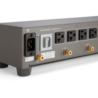 Shunyata Research GEMINI Model-8 variant 4