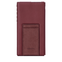 Astell & Kern PD10 Case variant 7