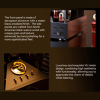 Cayin Soul 170HA variant 29