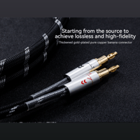 Cayin CS-30SP variant 3