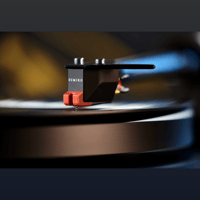 Sumiko Moonstone variant 5