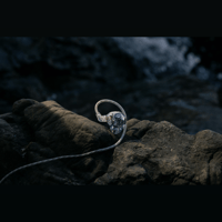 DITA Audio Awesome Plug Version 2: Replacement Plugs variant 3