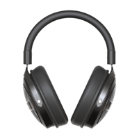 Kiwi Ears Ellipse variant 6