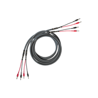 Cardas Iridium Speaker variant 1