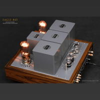 ThivanLabs EAGLE 845 H&S variant 6