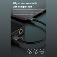 FiiO USB-C to USB-C charging/data cable variant 2