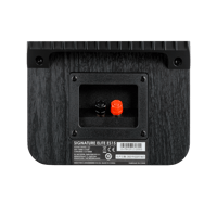 Denon Signature Elite ES15 variant 6