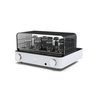 Fezz Audio Olympia Dual Mono Amplifier variant 20