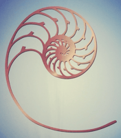 Cardas Logo