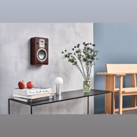 Audiovector QR 7 SE variant 5