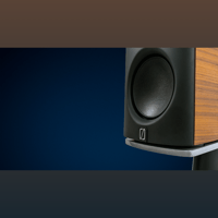 Borresen Acoustics Børresen 01 variant 8