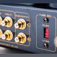 Cayin CS-100A variant 6