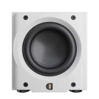 Perlisten R8s variant 6