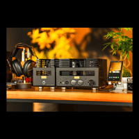 Cayin HA-300 MK3 variant 14