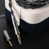 QoA (Queen of Audio) Aviation variant 7