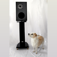 Gingko Audio Clarissa LE Speaker variant 6