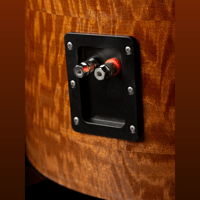 MC Audiotech The TL-12 Loudspeaker variant 4