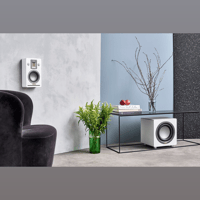 Audiovector QR 7 SE variant 3