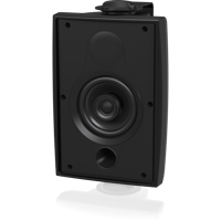 Tannoy DVS 4 variant 6