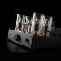 Allnic/ZL Technologies T-2000 30th variant 4