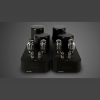 Ayon audio Ayon Scorpio Mono variant 2