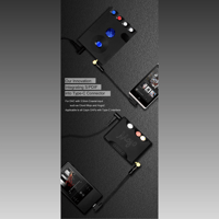 Cayin CS-40TCR35 variant 1