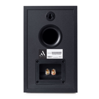 Argon Audio FORUS 5 variant 6