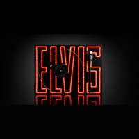 Pro-ject Audio Systems - USA Elvis Turntable variant 4