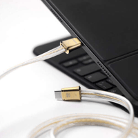 ddHiFi TC19CC Comet Gold Pure Silver Digital Signal Cable (Gold Edition) variant 3
