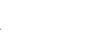 The AUDIO-TAILOR logo