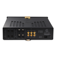 Circle Labs P300 variant 4