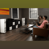 MartinLogan Motion F10 variant 47