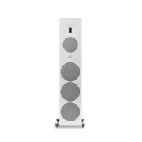 MartinLogan Motion XT F200 variant 18