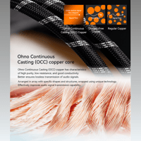 Cayin CS-30SP variant 4