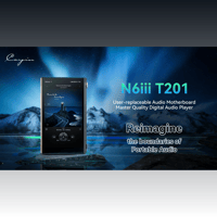 Cayin N6iii T201 variant 1