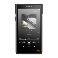 Sony NW-WM1AM2 variant 3