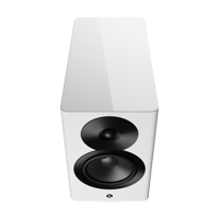 Dynaudio Focus 10 variant 9