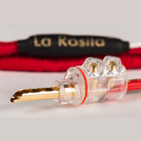 La Rosita SPEAKERS 'S CABLES variant 6