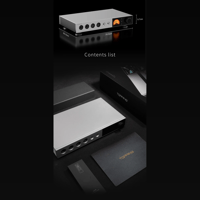 Topping A900 variant 16